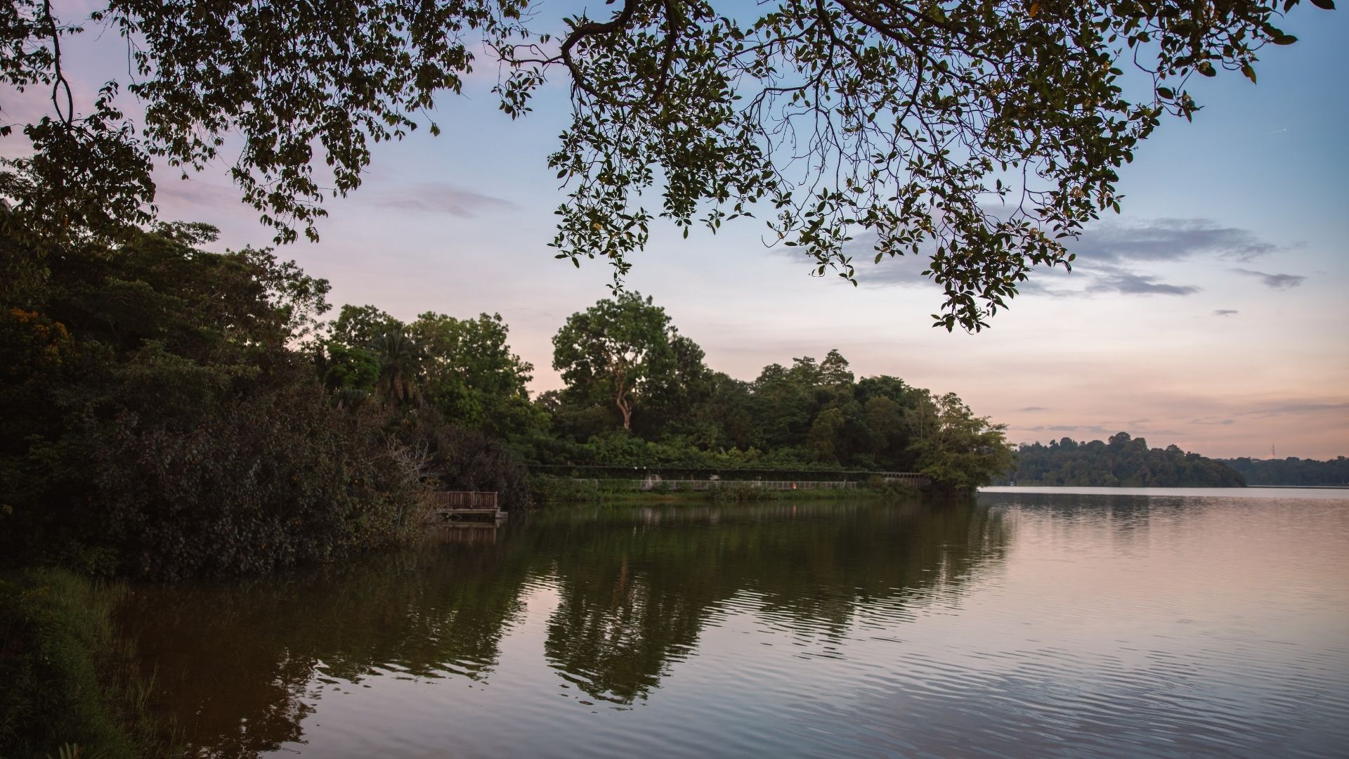 Mandai Rainforest Resort by Banyan Tree View from boardwalk 2_Credit Mandai Wildlife Group 